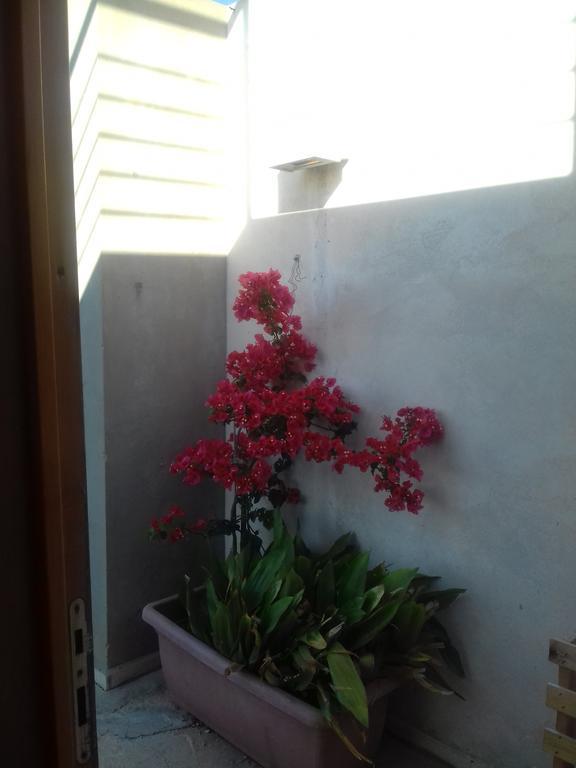 Villa Casa Dei Fenicotteri à Marausa Extérieur photo